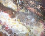 Foto langkah ke 5 dari resep Lobster Saos Mercon dijamin endul dan ndowerrr.
