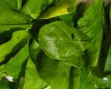 हरे भरे पालक पकौड़े (Hare bhre palak pakode recipe in Hindi) रेसिपी चरण 1 फोटो