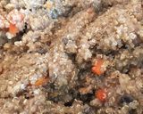 A picture of step 5 of Mushroom quinoa.