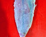 Foto del paso 8 de la receta: Bonito seco en salazón secado en las brisas del Mediterráneo
