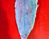 Foto del paso 8 de la receta: Bonito seco en salazón secado en las brisas del Mediterráneo