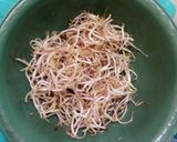 Foto langkah ke 1 dari resep Oseng2 3 bahan (labu, taoge dan ale).
