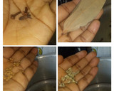டொமேட்டோ பிரியாணி வித் ஆனியன் ரைத்தா ரெசிபி ஸ்டேப் 1 புகைப்படம்