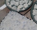 Foto langkah ke 5 dari resep Krupuk nasi/puli enak dan sederhana tanpa bleng.