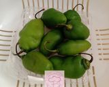 Foto langkah ke 1 dari resep Cabe Gendot Isi Bakso Ayam.