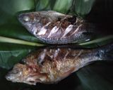 Foto langkah ke 1 dari resep 36.Ikan bakar.