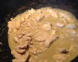A picture of step 5 of Thai green curry.