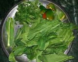 A picture of step 2 of Palak coriander Dhokla.