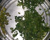 મેંદુવડા (Meduvada Recipe In Gujarati) રેસીપી સ્ટેપ2ફોટો