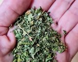 Foto del paso 1 de la receta: Tereré de Moringa oleifera 🧉enlazando culturas 🇮🇳 🇵🇾 🇦🇷