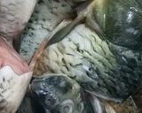 Foto langkah ke 1 dari resep Ikan mas bumbu kuning.