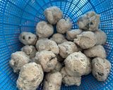 Foto langkah ke 3 dari resep Bakso Ikan.