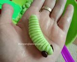 Foto langkah ke 7 dari resep Caterpillar Cookie (Kue Ulat).