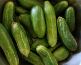🥙 கோவைக்காய் மசாலா 🥙 ரெசிபி ஸ்டேப் 1 புகைப்படம்