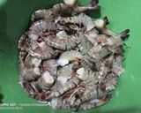 Foto langkah ke 3 dari resep Dimsum Udang Bungkus Cabai Merah.