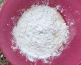 Foto del paso 1 de la receta: Crepes para canelones sin TACC