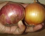 Foto langkah ke 1 dari resep Onion Ring.