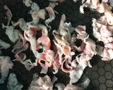 Foto del paso 2 de la receta: Col Agridulce