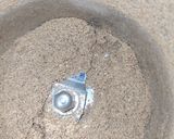 चाय का मसाला (Chai ka masala recipe in Hindi) रेसिपी चरण 2 फोटो