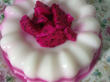 Puding Vanila Naga #9