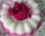 Foto langkah ke 5 dari resep Puding Vanila Naga #9.