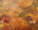 Foto del paso 4 de la receta: Arroz con costilla, pollo y judía verde redonda