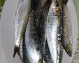 Foto del paso 1 de la receta: Sardiñas á brasa (sardinas a la brasa)