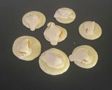Gambar langkah 3 resipi Baby Pancake Apricot.