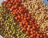 A picture of step 1 of Protein rich Mix Sprouts Stir fry and pulka Roti (Tiffin/lunch box recipe).