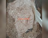 Foto langkah ke 1 dari resep Bolu Coklat ChocoChip Panggang.