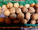Foto del paso 1 de la receta: Mató con nueces y miel