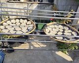 Foto langkah ke 5 dari resep Kerupuk Gendar Nasi Sisa.