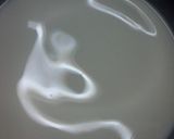 صورة لخطوة 2 من وصفة بسكويت
