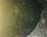 A picture of step 5 of Tawa fish fry.