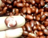 A picture of step 2 of Rajma chaval.