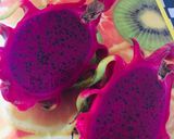 Foto del paso 1 de la receta: Helado Cremoso de Pitahaya con Yogur, Aceite de Coco y Leche Condensada de Coco!