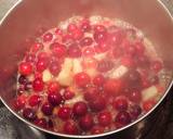 Holiday Cranberry Sauce recipe step 4 photo