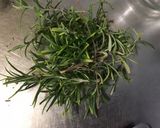 Une image de l'étape 4 de Sauce tomate aux herbes aromatiques, ail et oignon.