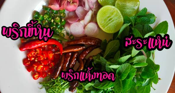 1 ลาบแซลมอน
