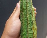 Foto langkah ke 6 dari resep Sop Oyong Simple.