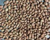 Hình bước làm 4 của món Nộm thịt lợn hành Tây giá đỗ chua thanh ngày oi nóng