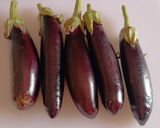 A picture of step 1 of Crostini with Eggplant and Cherry Tomatoes.