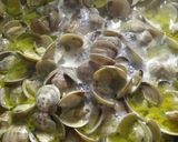 Foto del paso 3 de la receta: Almejas al ajillo