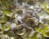 Foto del paso 3 de la receta: Almejas al ajillo