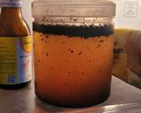 Foto langkah ke 3 dari resep Cold Brew Ala-ala Percobaan 1.