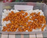 Bébirépás rizs (köret) 🥕🍚🥕 recept fázis 4 fotója