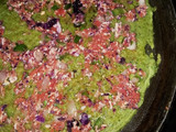 પેરારાટતું (Pesarattu Recipe In Gujarati)