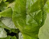 Foto langkah ke 1 dari resep Tumis Bayam (Spinach Stir Fried).