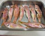 Foto del paso 3 de la receta: Salmonetes al horno