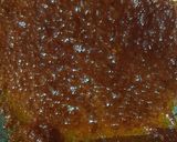 Foto langkah ke 3 dari resep Ikan masak sambal.